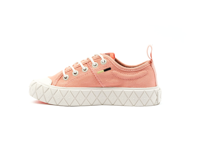 58609-661-M | ACE KIDS LO SUPPLY | GEDÄMPFTES LEHM