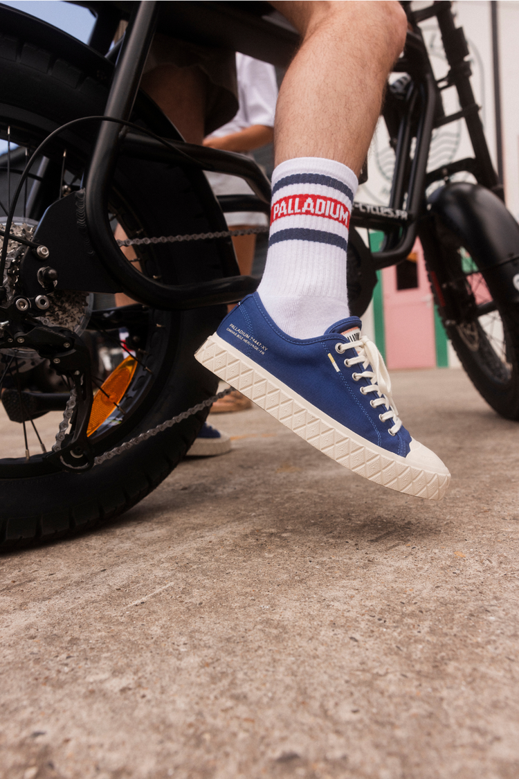 74447-425-M | PALLA ACE CVS ORG | MOOD INDIGO