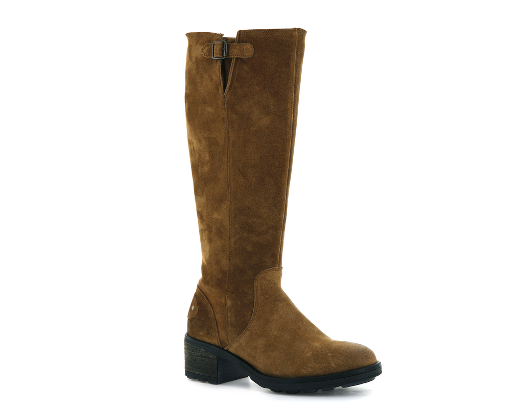 97623-259-M | MARGO 05 SUD | CAMEL