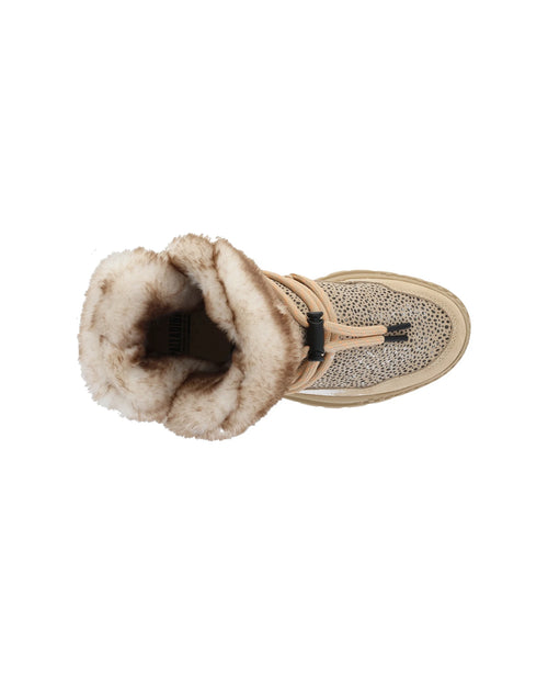 99566-257-M | PALLASHOCK WLD HIVER - PALLADIUM EU - 7